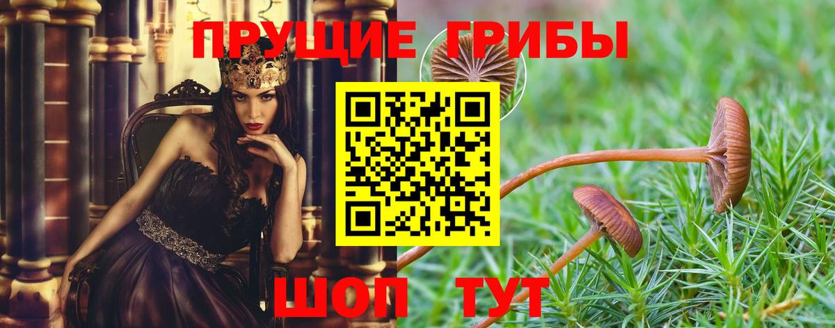 Псилоцибиновые грибы MAGIC MUSHROOMS  Вход с VPN  Галлюциногенные грибы Magic Shrooms  Тавда 
